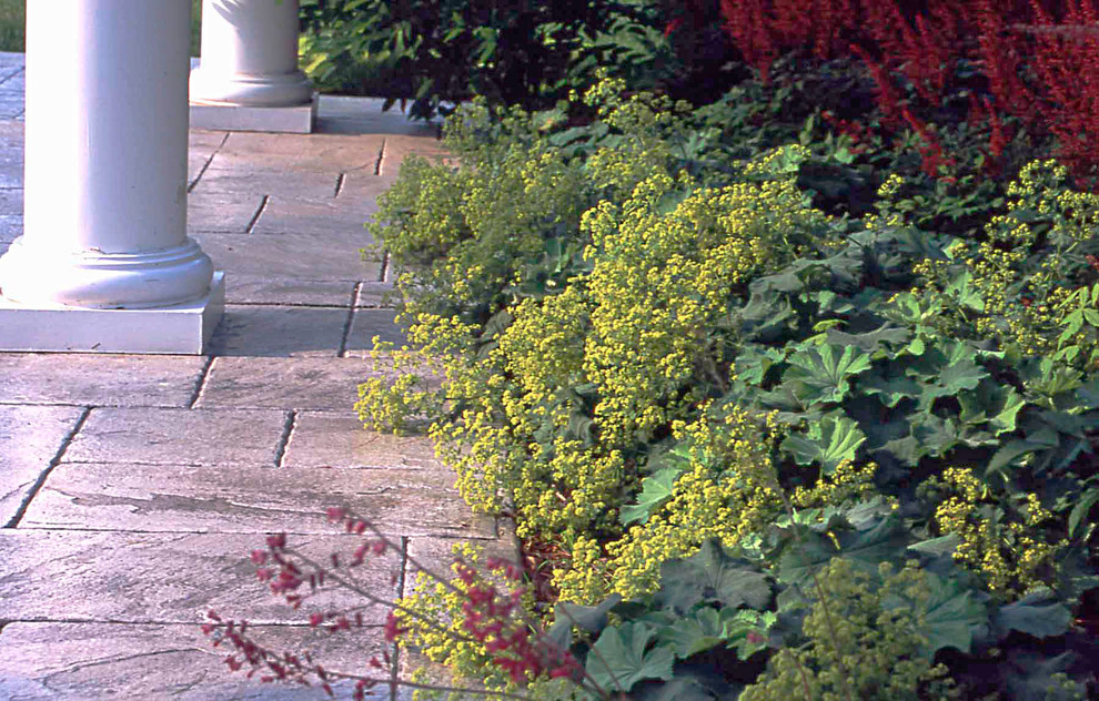Diseño de jardín actual, grande, en verano, en patio trasero, con exposición parcial al sol