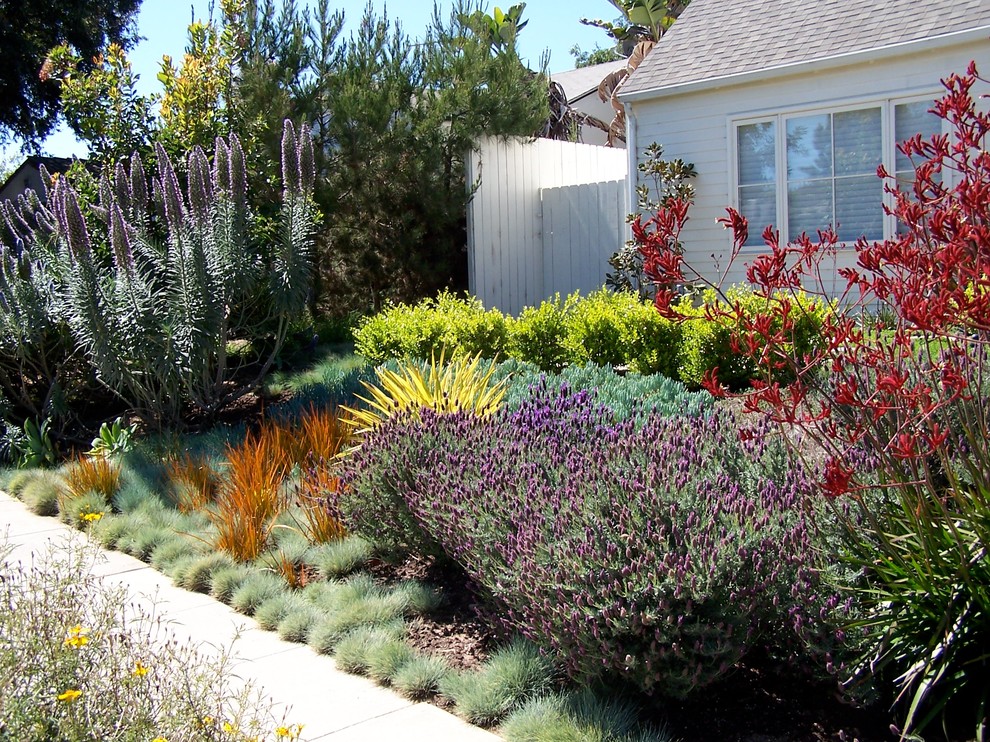 Design ideas for a medium sized country front xeriscape full sun garden for spring in Los Angeles with a garden path and concrete paving.