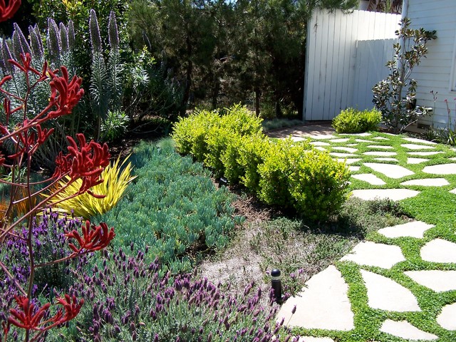 Water Saving Landscaping Ideas For Traditional Homes