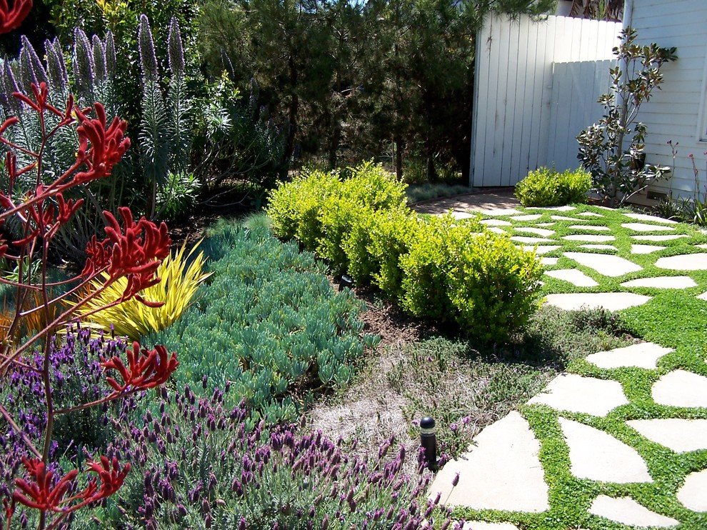 Foto di un giardino xeriscape country esposto in pieno sole di medie dimensioni e davanti casa in primavera con un ingresso o sentiero e pavimentazioni in cemento