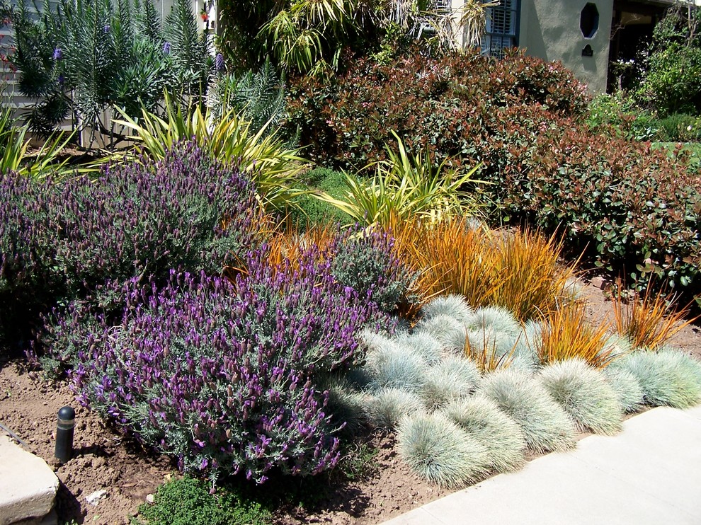 Immagine di un giardino formale country esposto in pieno sole di medie dimensioni e davanti casa in primavera con un ingresso o sentiero e pavimentazioni in cemento