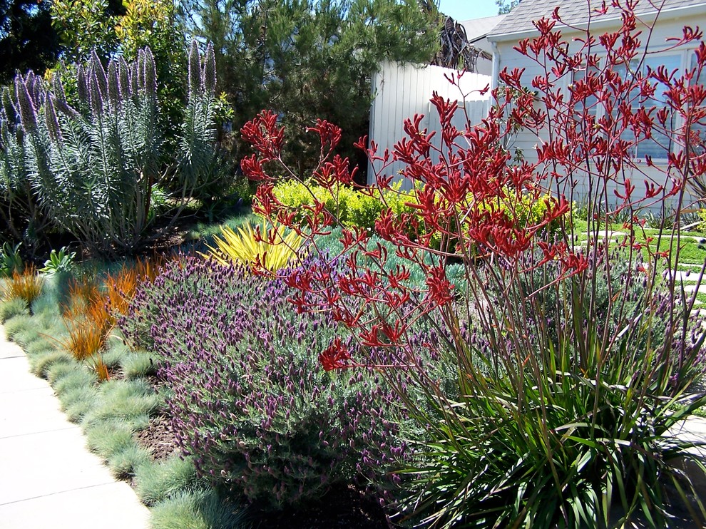 Mittelgroßer Klassischer Vorgarten im Frühling mit direkter Sonneneinstrahlung und Betonboden in Los Angeles