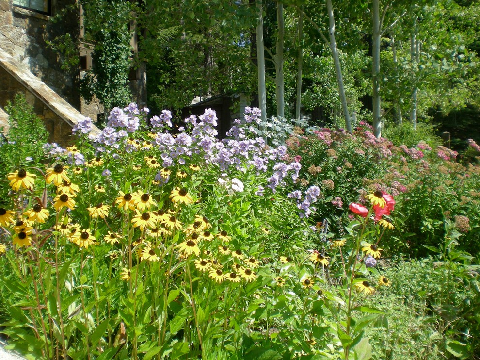 Idéer för att renovera en mellanstor eklektisk trädgård i full sol på sommaren, med en trädgårdsgång och naturstensplattor