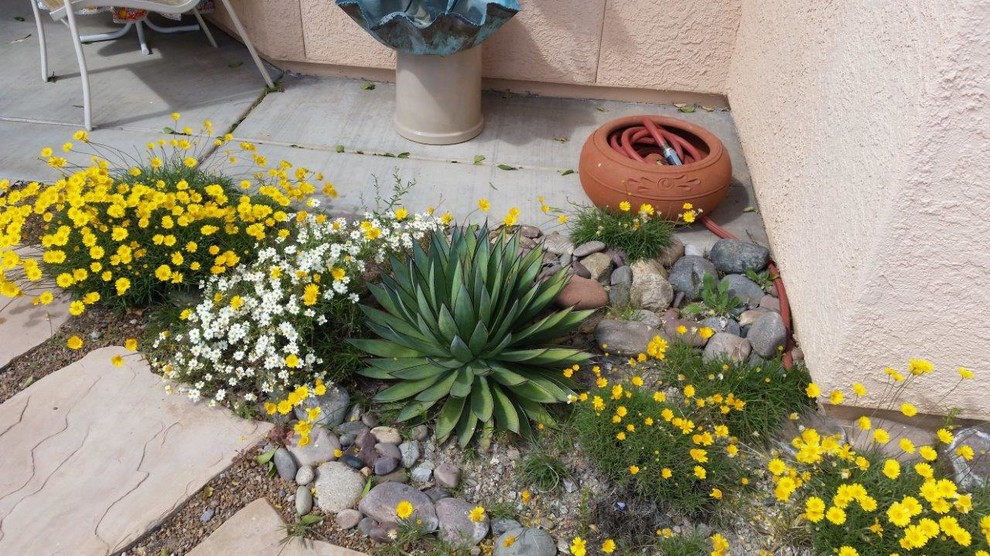 Kleiner, Halbschattiger Mediterraner Gartenweg im Frühling, hinter dem Haus mit Natursteinplatten in Phoenix
