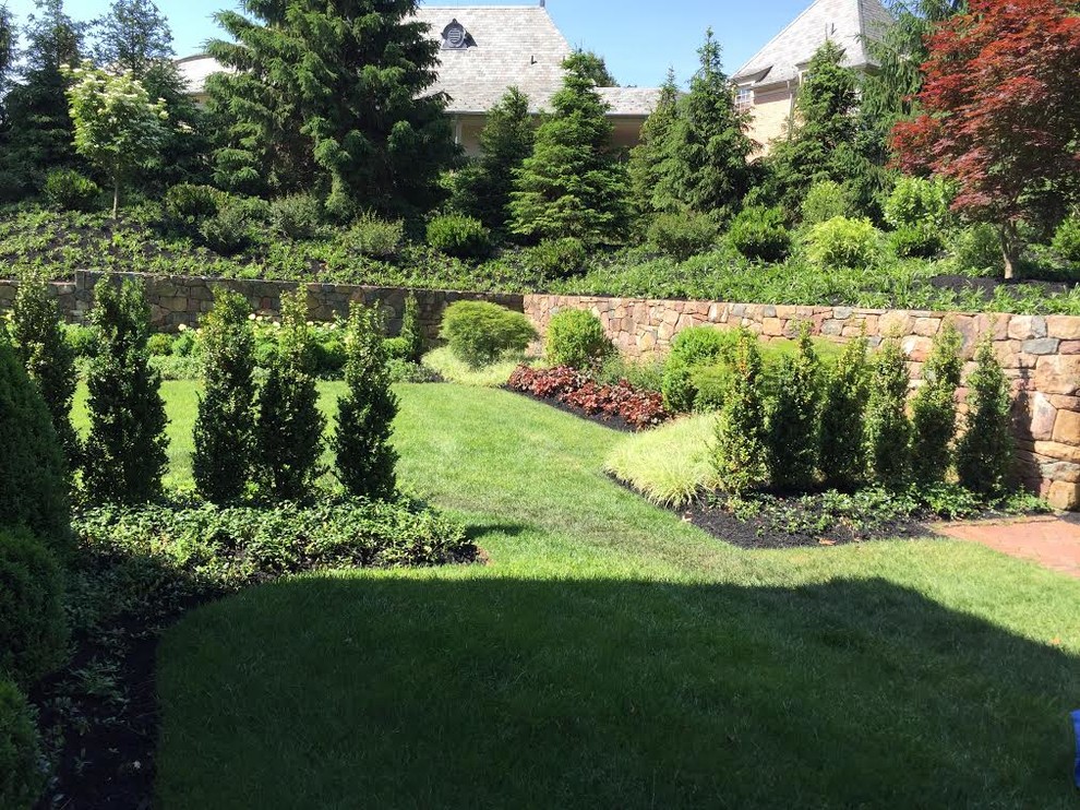 На фото: солнечный регулярный сад среднего размера на заднем дворе в классическом стиле с подпорной стенкой и хорошей освещенностью с