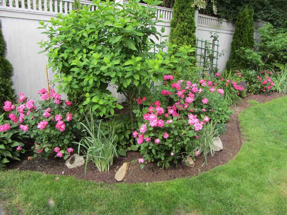 Design ideas for a large traditional back full sun garden in New York with mulch.