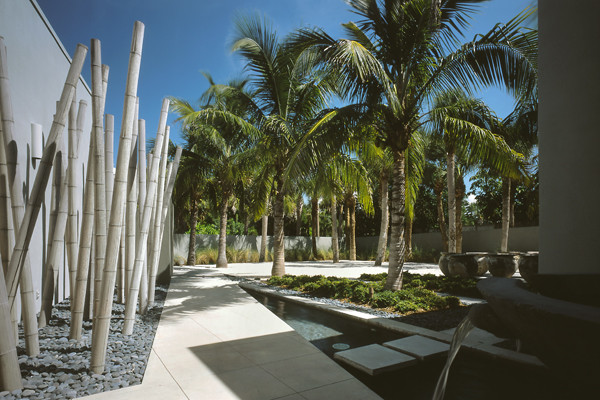 Entry Garden - Tropical - Landscape - Tampa - by DWY Landscape ...
