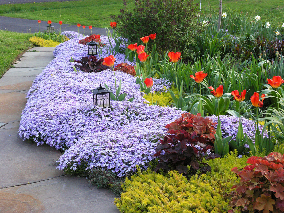 Свежая идея для дизайна: маленький солнечный, весенний засухоустойчивый сад на переднем дворе в современном стиле с клумбами, хорошей освещенностью и покрытием из каменной брусчатки для на участке и в саду - отличное фото интерьера