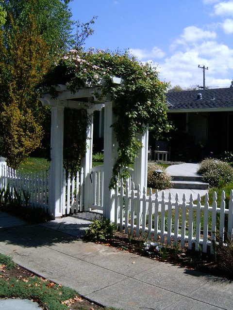 This is an example of a traditional landscaping in San Francisco.
