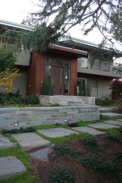 Entry Modern Garden San Francisco By Terra Ferma Landscapes Houzz Au