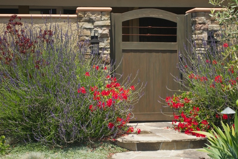 Photo of a contemporary landscaping in Orange County.
