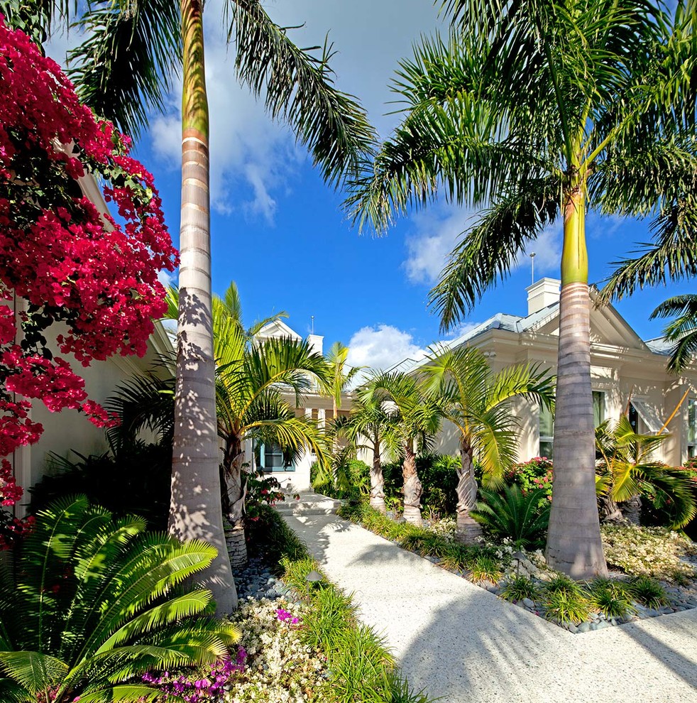 Entry walk - Tropical - Landscape - Tampa - by DWY Landscape Architects ...