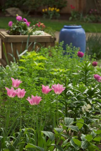 Idées déco pour un jardin avant éclectique au printemps avec un point d'eau et une exposition partiellement ombragée.