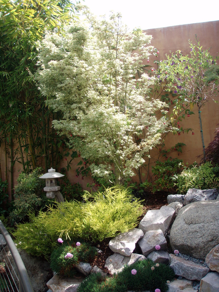 Diseño de jardín de secano de estilo zen de tamaño medio en patio trasero con muro de contención, exposición parcial al sol y mantillo