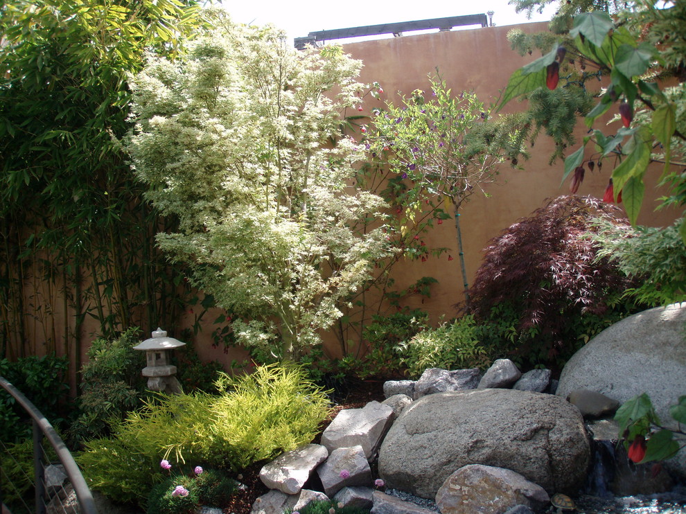 Idee per un giardino xeriscape etnico esposto a mezz'ombra dietro casa e di medie dimensioni con un muro di contenimento e pacciame