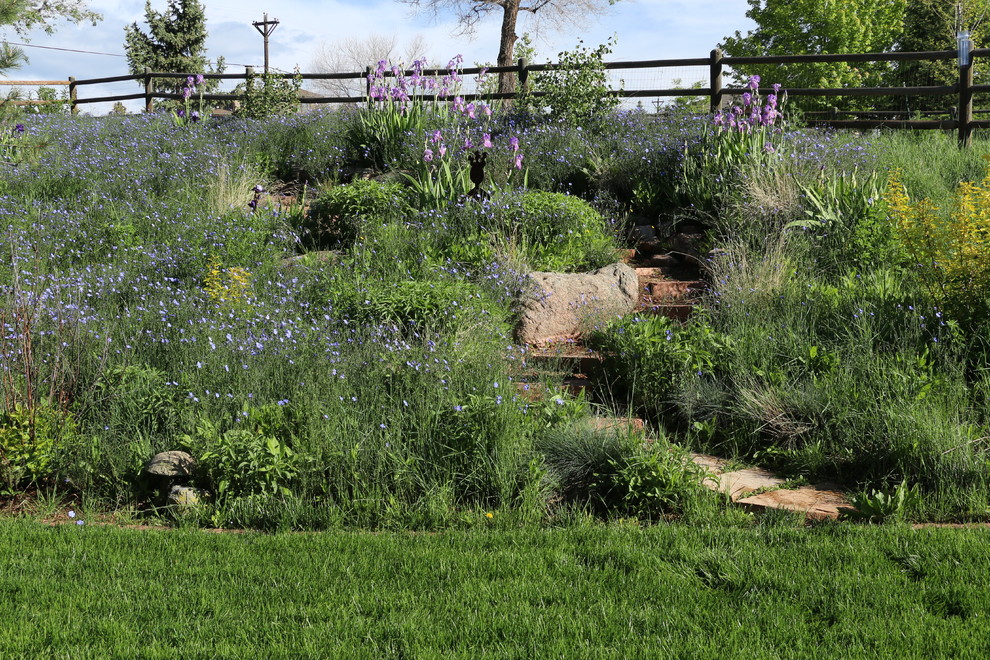 Inspiration pour un grand jardin sud-ouest américain avec une exposition ensoleillée, une pente, une colline ou un talus et des pavés en pierre naturelle.