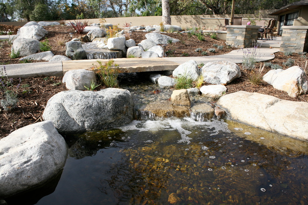 Photo of an expansive contemporary front xeriscape partial sun garden for spring in Los Angeles with a pond and mulch.