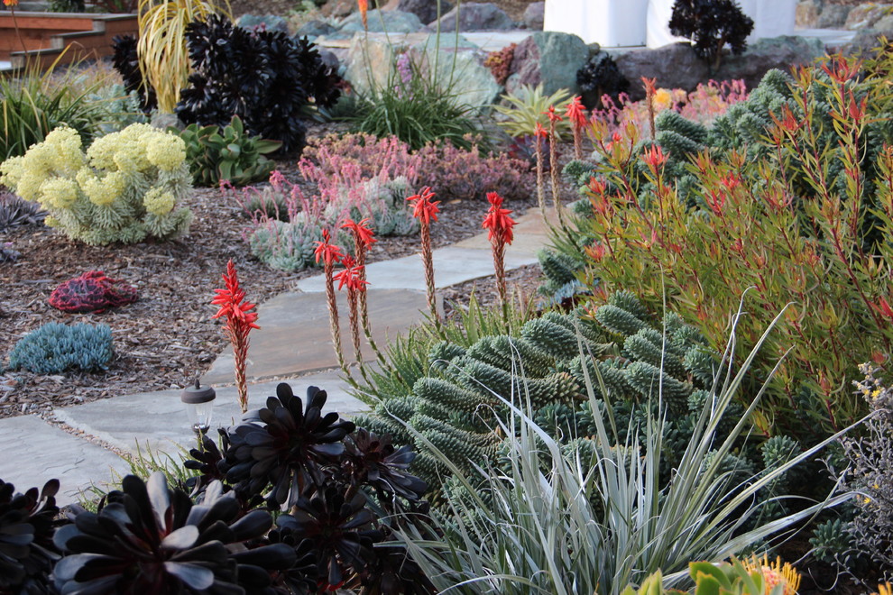 Идея дизайна: засухоустойчивый сад с покрытием из каменной брусчатки