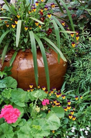 Foto di un ampio giardino mediterraneo dietro casa con un giardino in vaso
