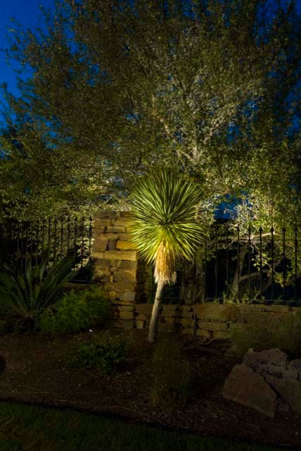 This is an example of a large garden in Austin.