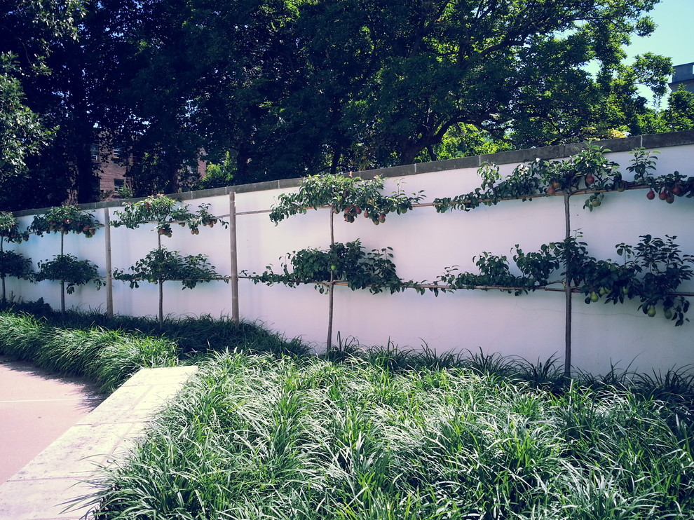 Immagine di un giardino formale tradizionale esposto in pieno sole di medie dimensioni e dietro casa in estate con pavimentazioni in cemento