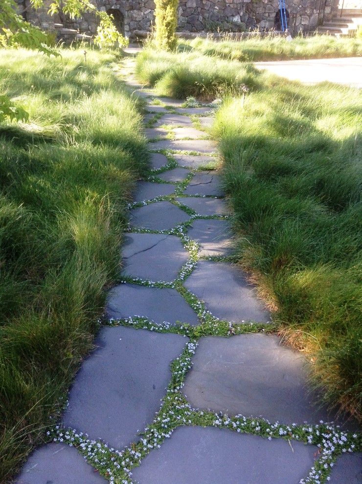 Geometrischer, Mittelgroßer Mediterraner Gartenweg hinter dem Haus mit Natursteinplatten in San Francisco