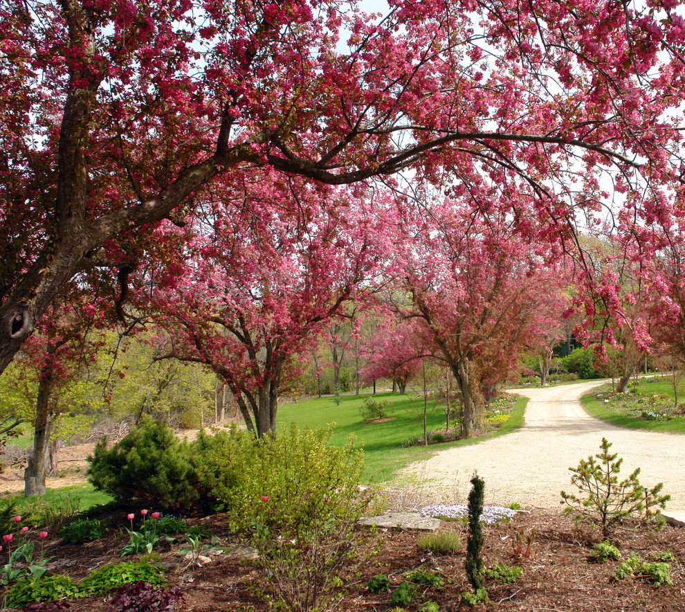 Klassischer Garten im Frühling mit Auffahrt in Chicago