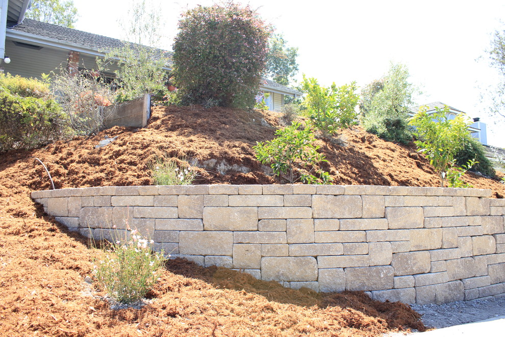 Inspiration for a mid-sized traditional drought-tolerant backyard mulch retaining wall landscape in San Luis Obispo.