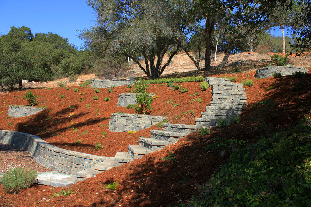 На фото: засухоустойчивый сад среднего размера на заднем дворе в классическом стиле с подпорной стенкой и покрытием из каменной брусчатки с