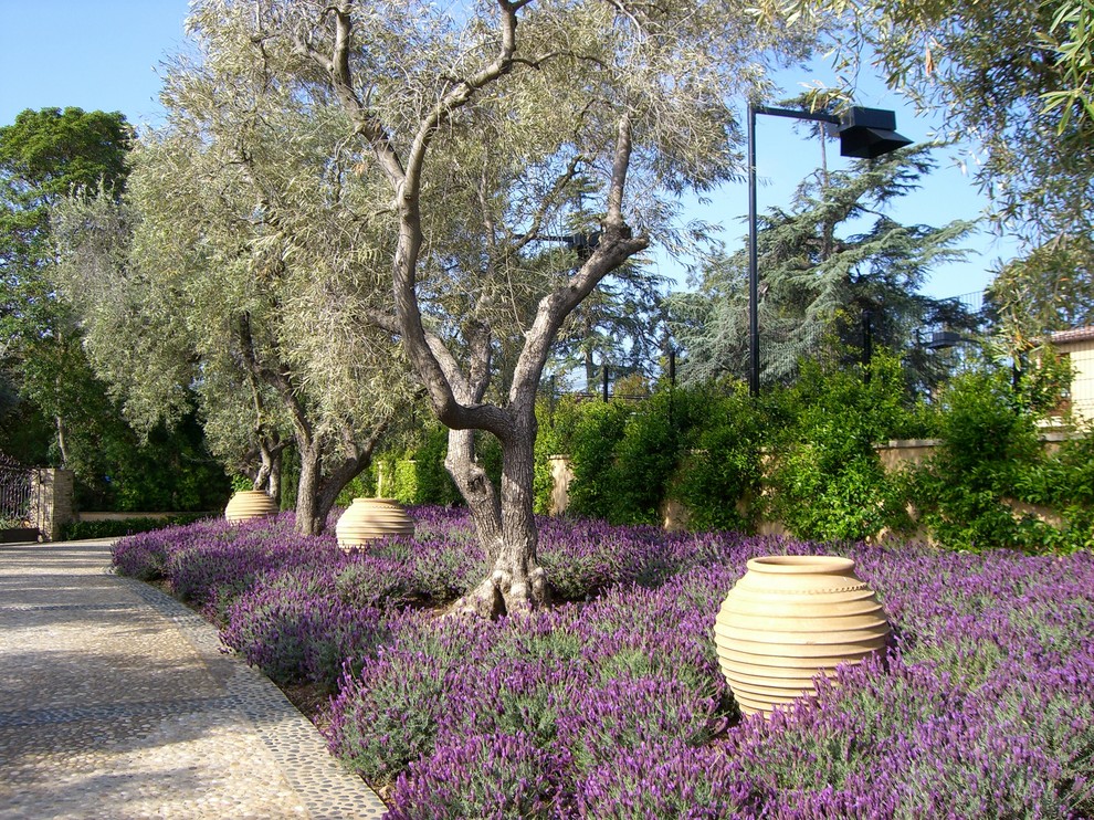 На фото: весенний участок и сад среднего размера на боковом дворе в средиземноморском стиле с подъездной дорогой, растениями в контейнерах, полуденной тенью и мульчированием