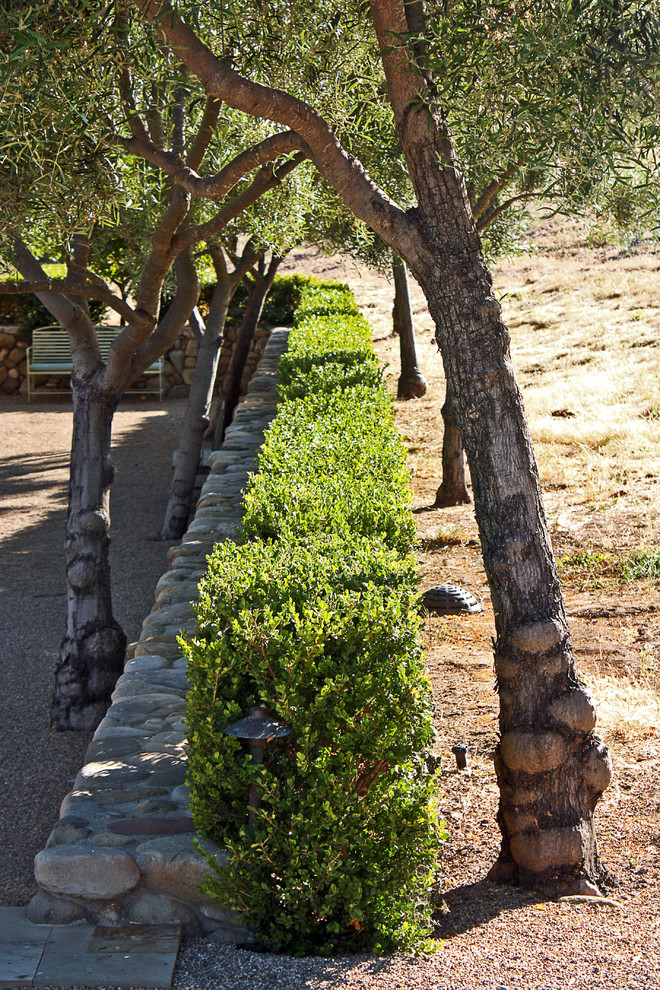 Photo of a rural garden in Santa Barbara.