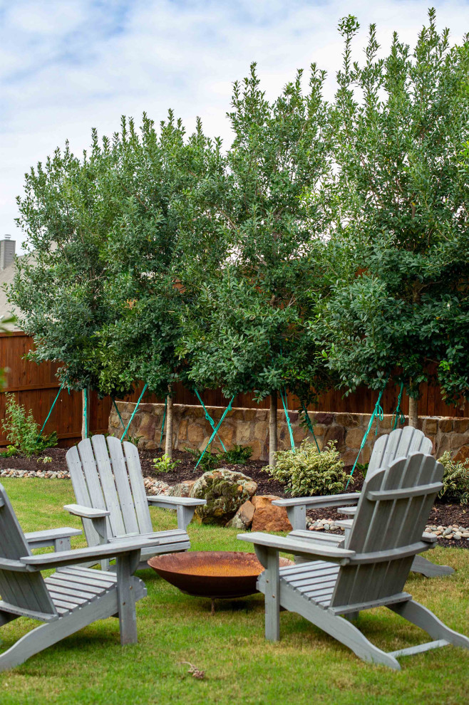Evergreen Trees & Shrubs Landscape Dallas by Treeland Nursery Houzz