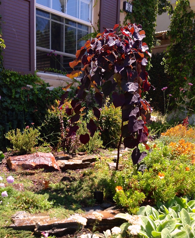 Kleiner Klassischer Garten im Frühling mit direkter Sonneneinstrahlung und Natursteinplatten in Orange County
