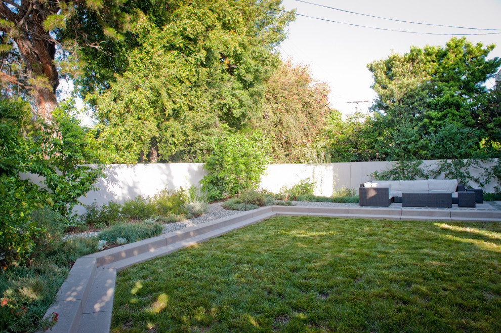 Идея дизайна: засухоустойчивый сад зимой на заднем дворе в средиземноморском стиле с газонным бордюром, полуденной тенью и покрытием из гравия