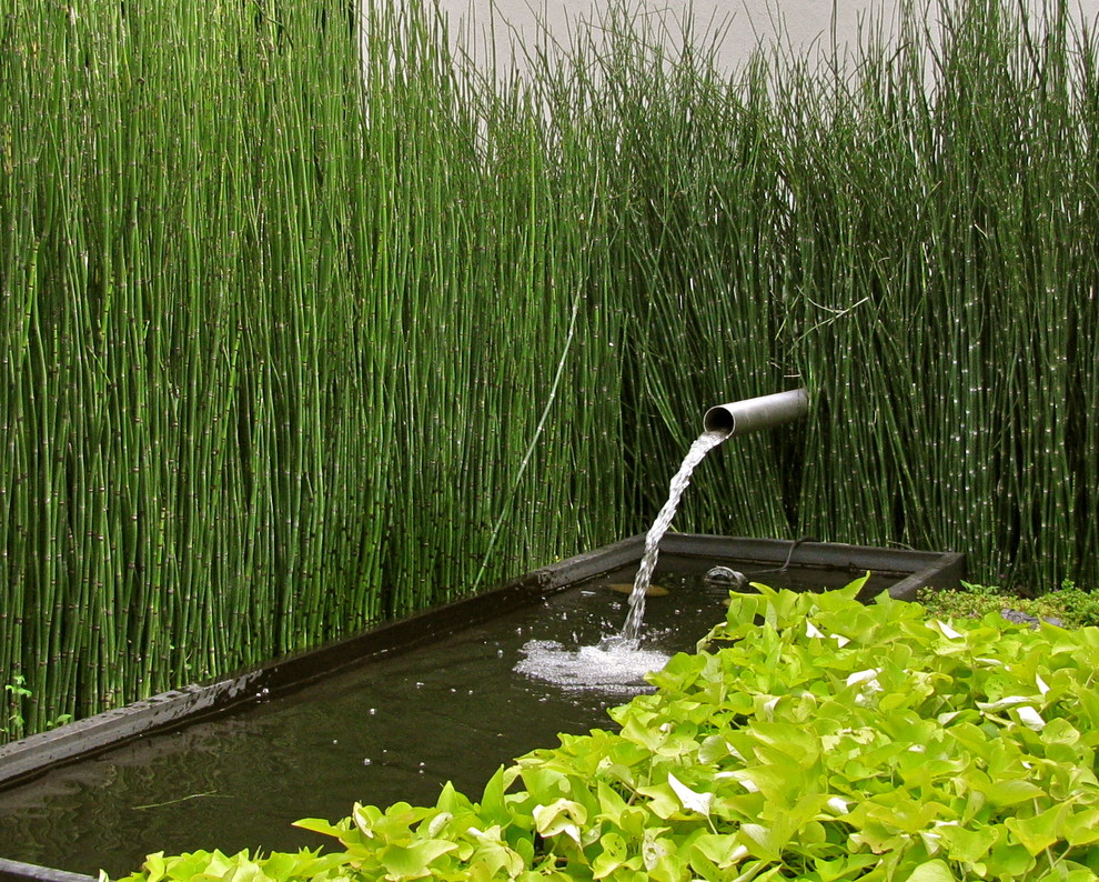 Cette photo montre un jardin moderne avec un point d'eau.