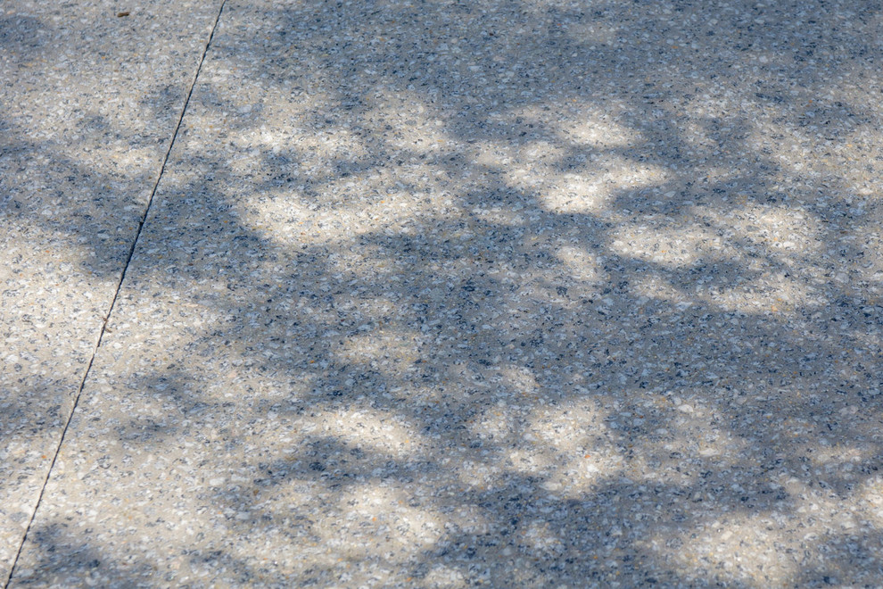 Esempio di un vialetto d'ingresso minimalista esposto in pieno sole di medie dimensioni e davanti casa in estate