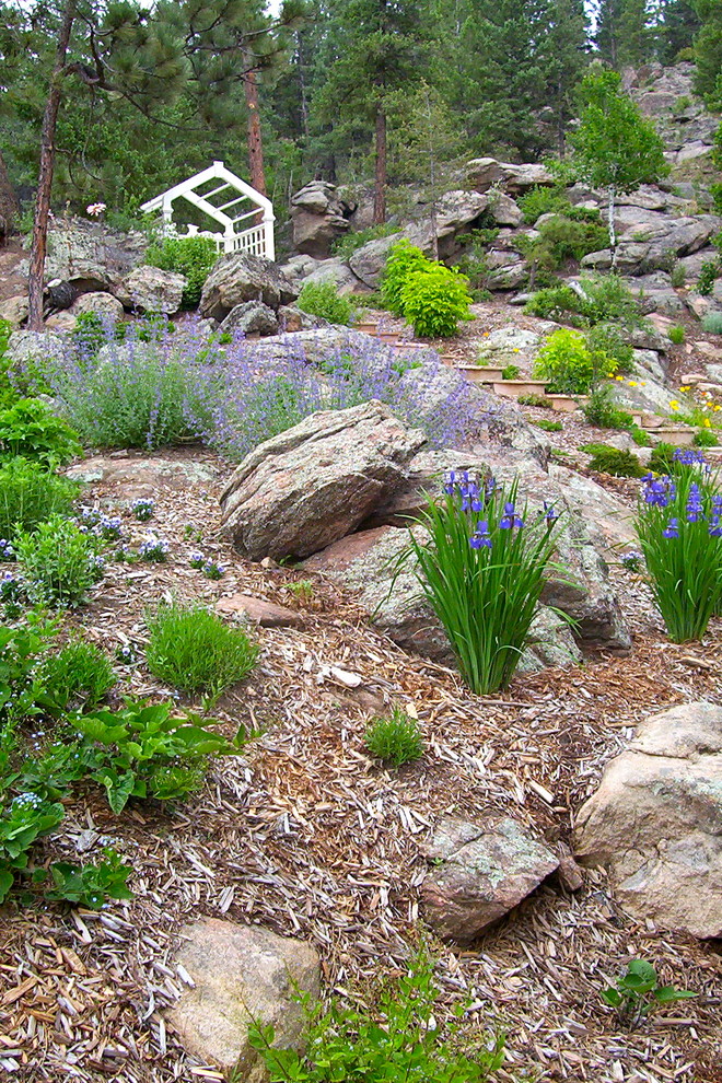 Inspiration for a mediterranean landscaping in Denver.