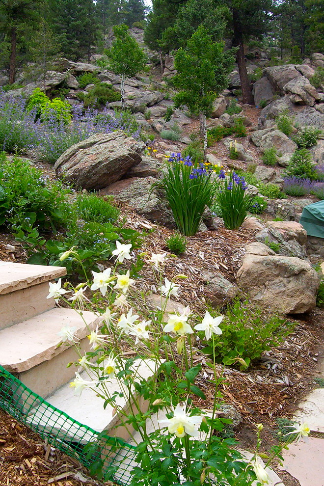 Idéer för att renovera en medelhavsstil trädgård
