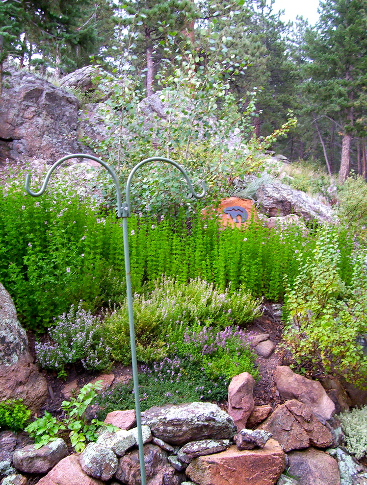 Inspiration for a mediterranean landscaping in Denver.