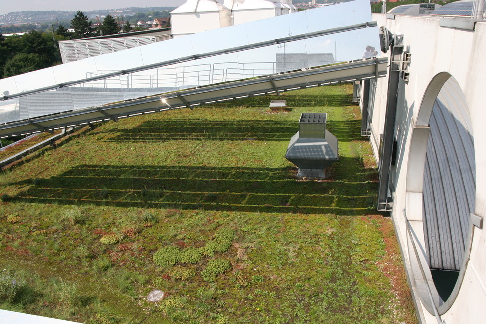 Пример оригинального дизайна: большой засухоустойчивый сад на крыше в стиле лофт с полуденной тенью