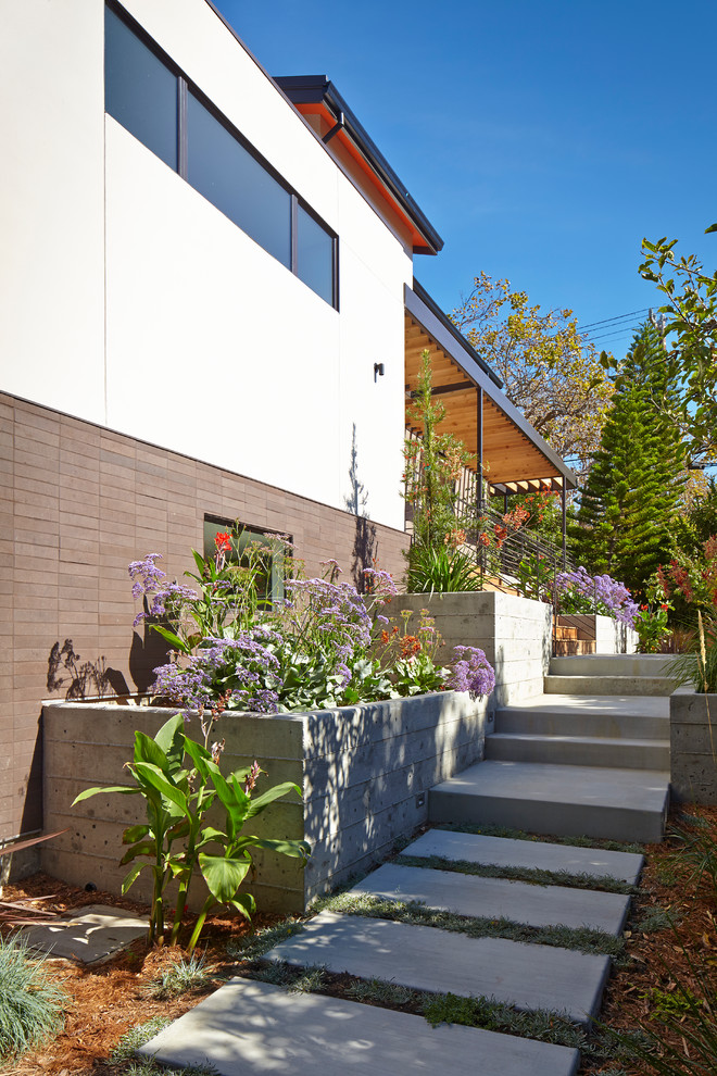 Идея дизайна: большой участок и сад на переднем дворе в современном стиле с растениями в контейнерах, полуденной тенью и мощением тротуарной плиткой