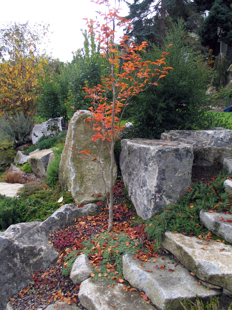 Foto di un giardino rustico in autunno con un pendio, una collina o una riva e scale
