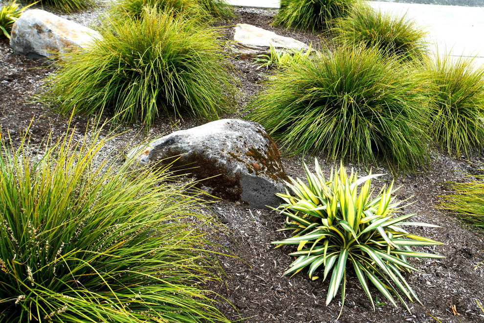 Extraordinary Greenery Modern Landscape San Francisco by Garden