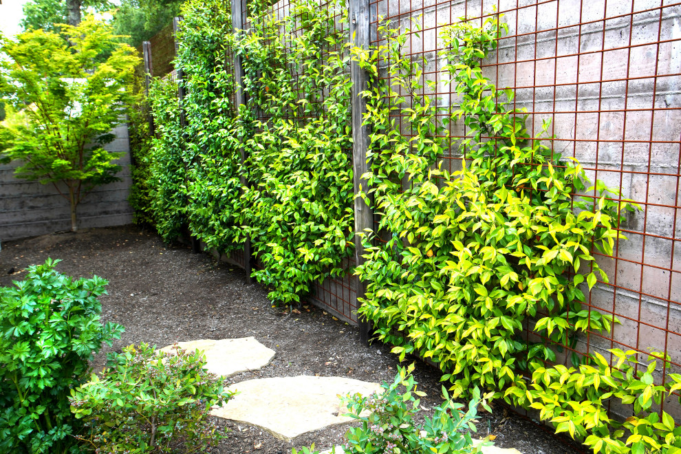 Extraordinary Greenery Modern Landscape San Francisco by Garden