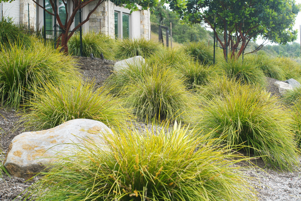 Extraordinary Greenery Modern Landscape San Francisco by Garden