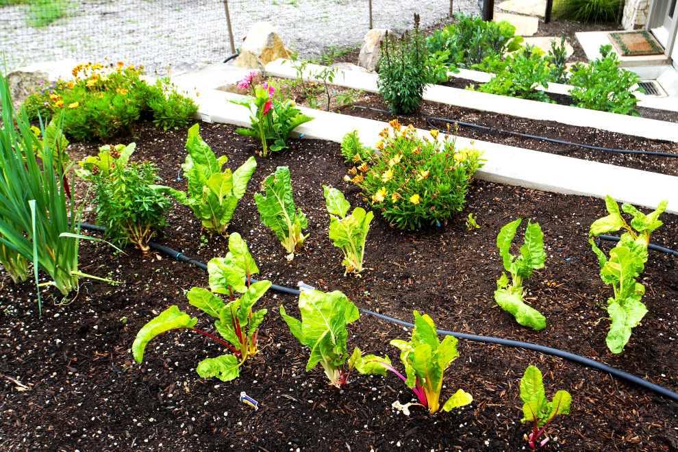 Extraordinary Greenery Modern Landscape San Francisco by Garden