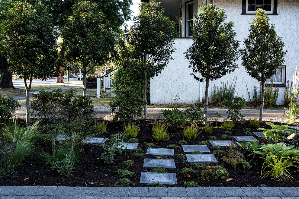 Пример оригинального дизайна: участок и сад среднего размера на переднем дворе в современном стиле с клумбами, полуденной тенью и мощением тротуарной плиткой