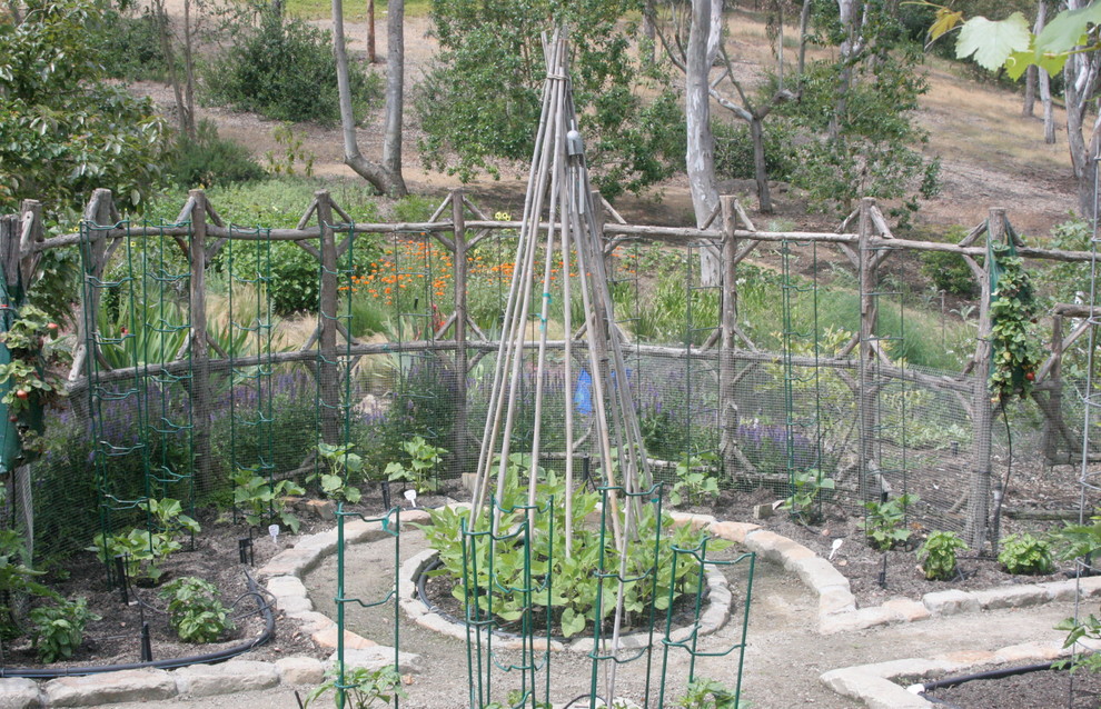 Foto di un grande orto in giardino classico esposto in pieno sole dietro casa con graniglia di granito