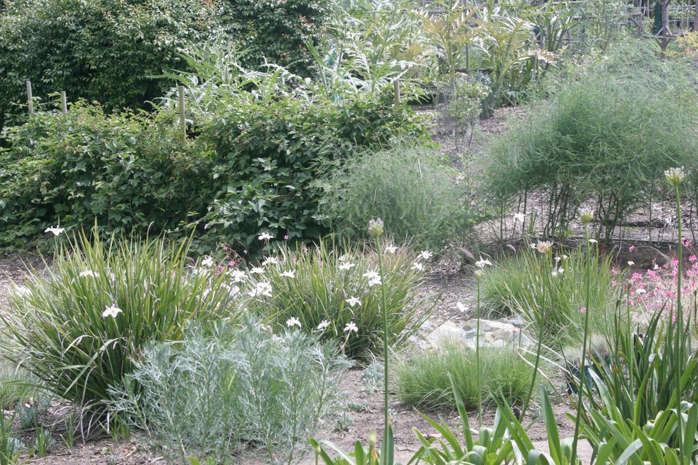 Imagen de jardín mediterráneo grande en verano en patio trasero con huerto, exposición total al sol y adoquines de piedra natural