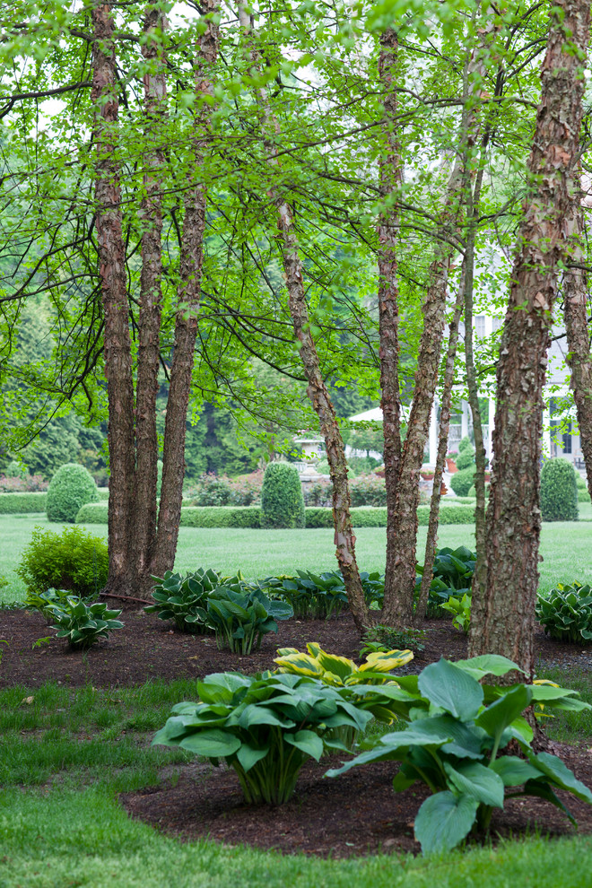 ニューヨークにあるトラディショナルスタイルのおしゃれな庭 (日向) の写真